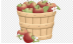 Малюнок на папері, кошик з яблуками, яблуко, яблуко Фрукти, яблуко логотип  png | PNGWing